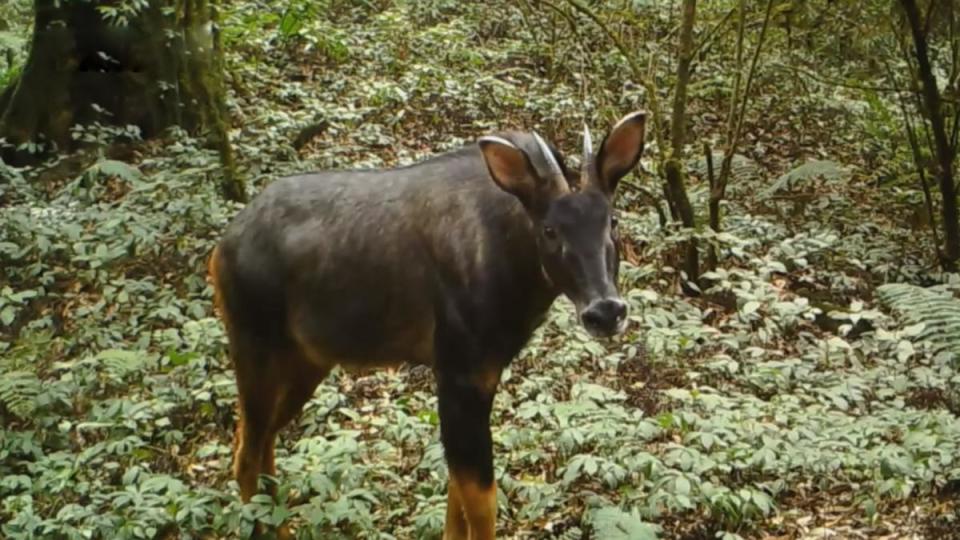 漆黑一团 第8页