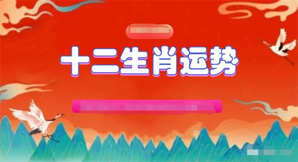 新澳门今晚精准一肖,新澳门今晚精准一肖——探索生肖预测的魅力与挑战