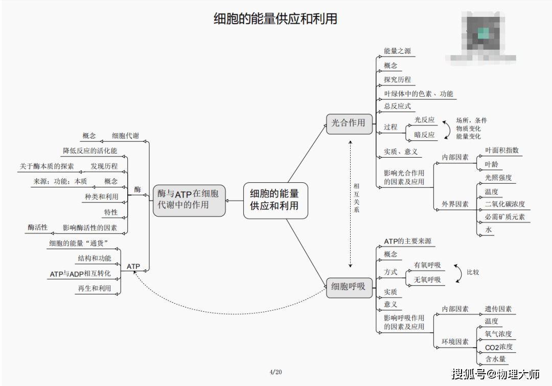 白小姐三肖三期必出一期开奖哩哩,白小姐三肖三期必出一期开奖哩哩，探索彩票预测的神秘与魅力