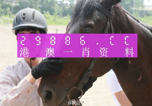 汗马功劳 第4页