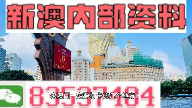 2025年新澳门王中王免费,关于澳门王中王游戏免费体验的文章分析