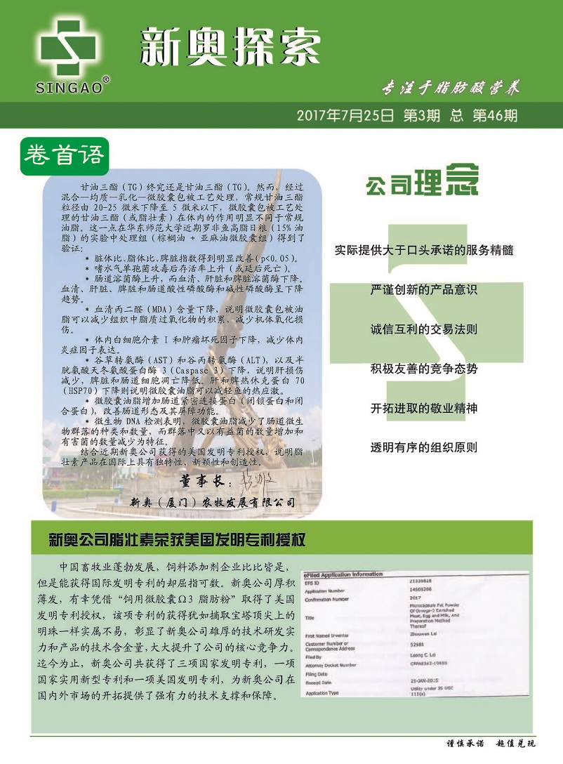 新澳2025年精准资料33期,新澳2025年精准资料33期深度解析与预测展望