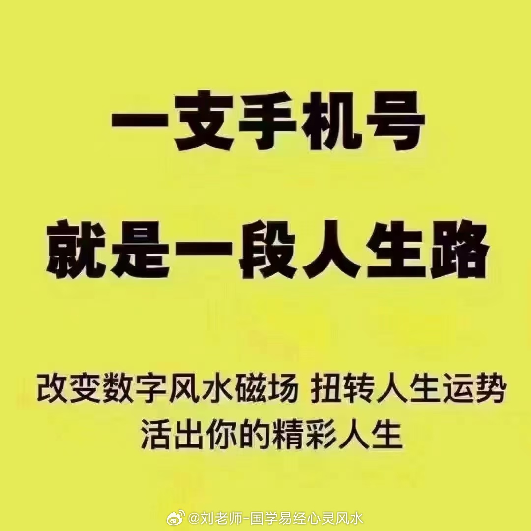 777778888精准跑狗,精准跑狗，探索数字世界中的新奥秘——77777与88888的魅力