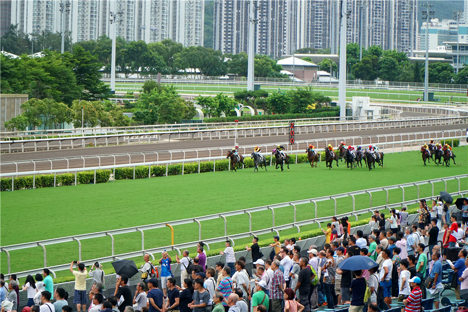 香港马买马网站www,香港马买马网站——探索赛马文化的独特魅力